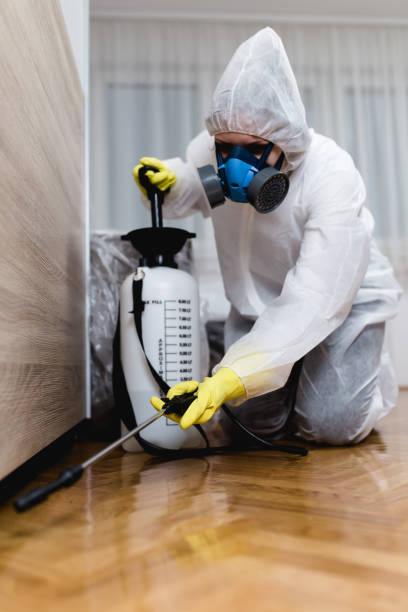 Best Termite Inspection and Treatment  in Watervliet, MI